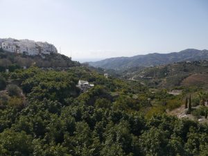 Malaga airport minibus transfers