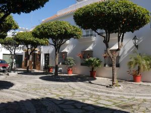 Minibus transfers from Malaga airport to Cancelada